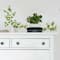 RoomMates Evergreen Ivy Peel & Stick Wall Decals